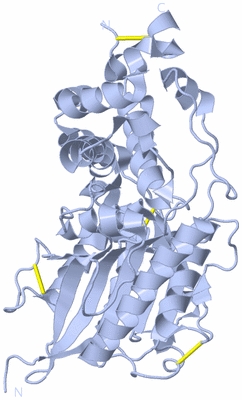 Image Biological Unit 1