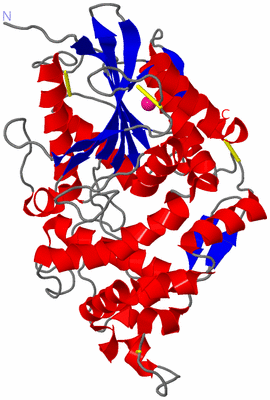 Image Asym./Biol. Unit