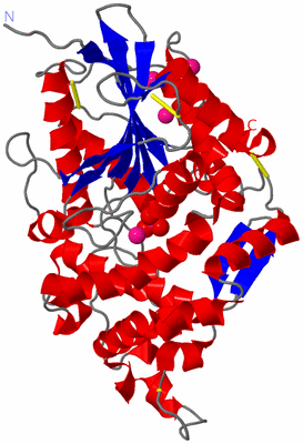 Image Asym./Biol. Unit