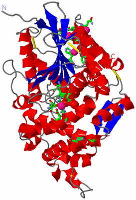 Image Asym./Biol. Unit - sites