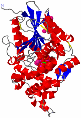 Image Asym./Biol. Unit