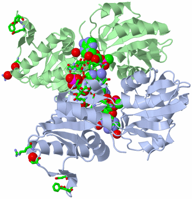 Image Biol. Unit 1 - sites