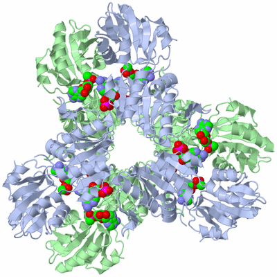 Image Biological Unit 2