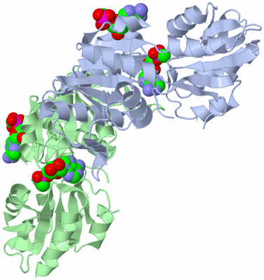 Image Biological Unit 3