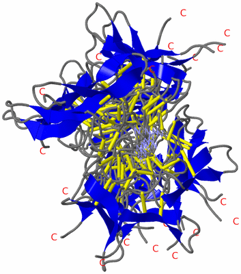 Image NMR Structure - all models