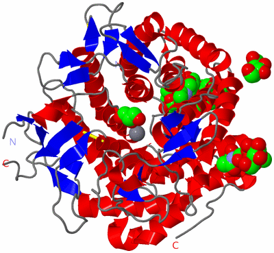 Image Asym./Biol. Unit