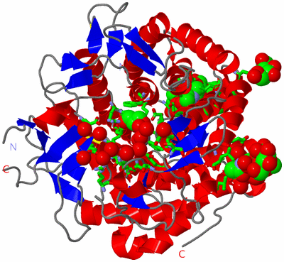 Image Asym./Biol. Unit - sites