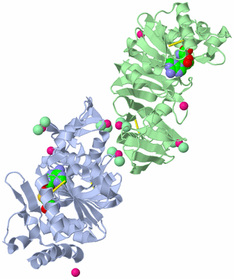 Image Biological Unit 1