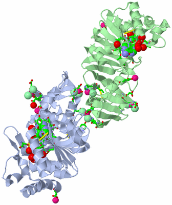 Image Biol. Unit 1 - sites