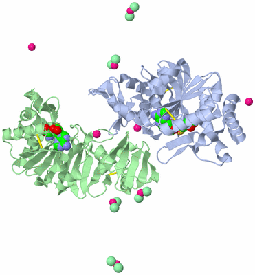 Image Biological Unit 2