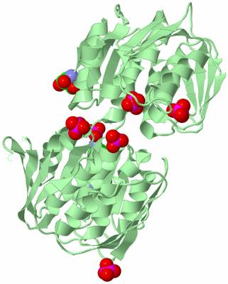 Image Biological Unit 2