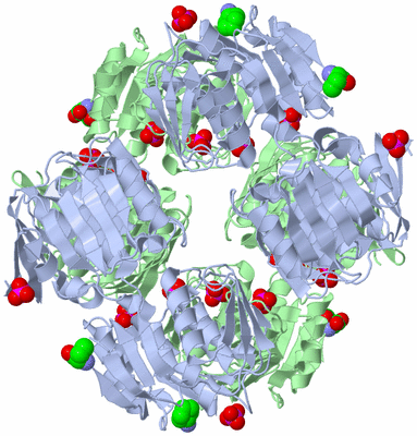 Image Biological Unit 3