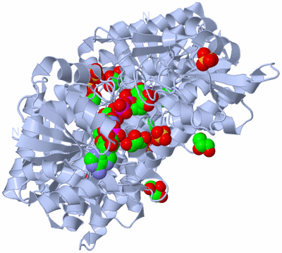 Image Biological Unit 1