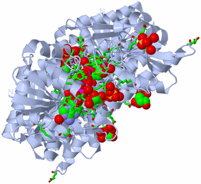 Image Biol. Unit 1 - sites