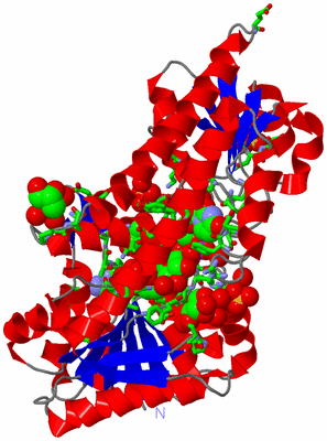 Image Asym. Unit - sites