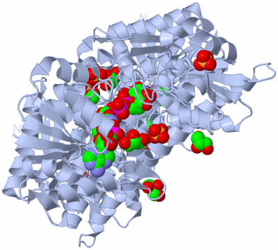 Image Biological Unit 1