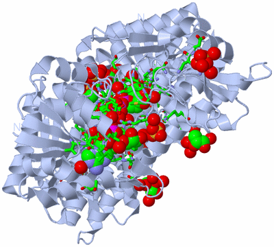 Image Biol. Unit 1 - sites