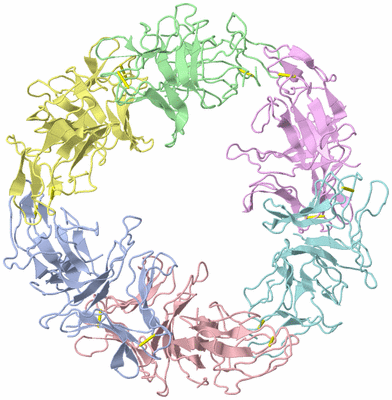 Image Asym./Biol. Unit