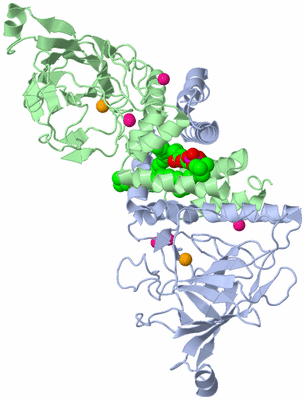 Image Asym./Biol. Unit