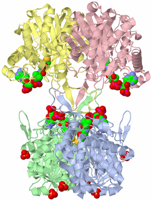 Image Asym./Biol. Unit