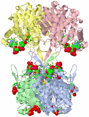 Image Asym./Biol. Unit - sites