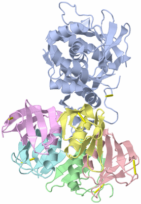 Image Biological Unit 1