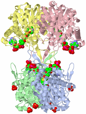 Image Asym./Biol. Unit