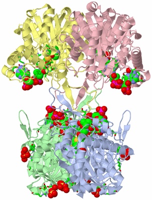 Image Asym./Biol. Unit - sites