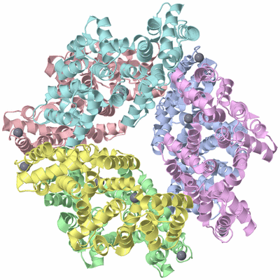 Image Asym./Biol. Unit