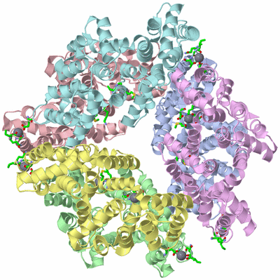 Image Asym./Biol. Unit - sites