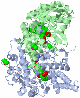 Image Asym./Biol. Unit