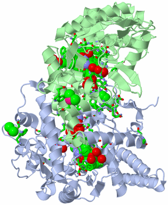 Image Asym./Biol. Unit - sites