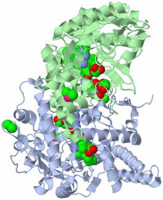 Image Asym./Biol. Unit