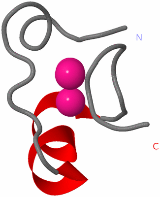 Image NMR Structure - model 1