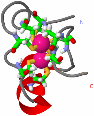 Image NMR Structure - model 1, sites