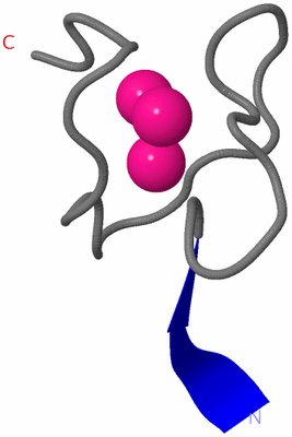 Image NMR Structure - model 1