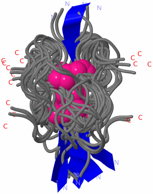 Image NMR Structure - all models