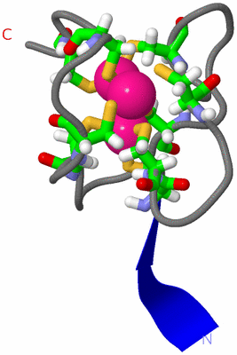 Image NMR Structure - model 1, sites