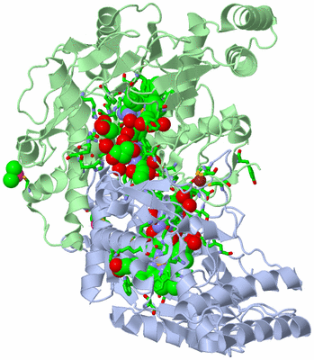 Image Asym./Biol. Unit - sites
