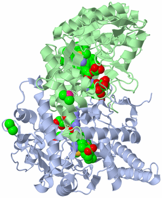 Image Asym./Biol. Unit