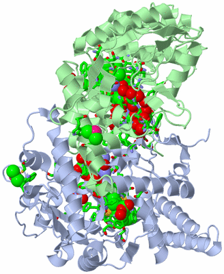 Image Asym./Biol. Unit - sites