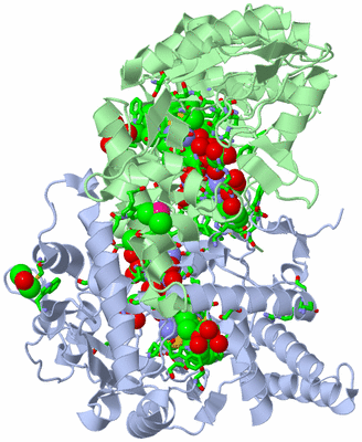 Image Asym./Biol. Unit - sites