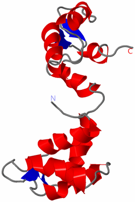 Image NMR Structure - model 1