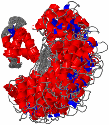 Image NMR Structure - all models