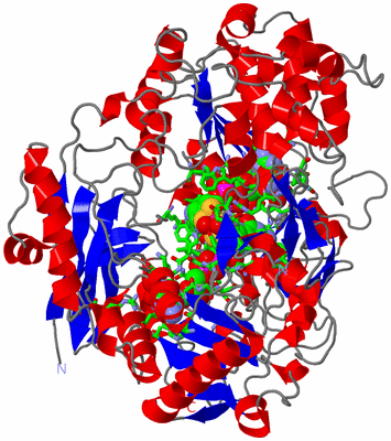 Image Asym./Biol. Unit - sites