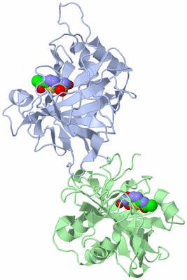 Image Asymmetric Unit