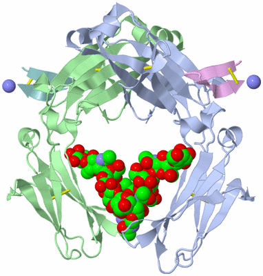 Image Asym./Biol. Unit