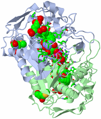 Image Asym./Biol. Unit - sites