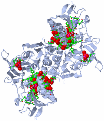 Image Biol. Unit 1 - sites