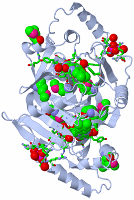 Image Biol. Unit 1 - sites